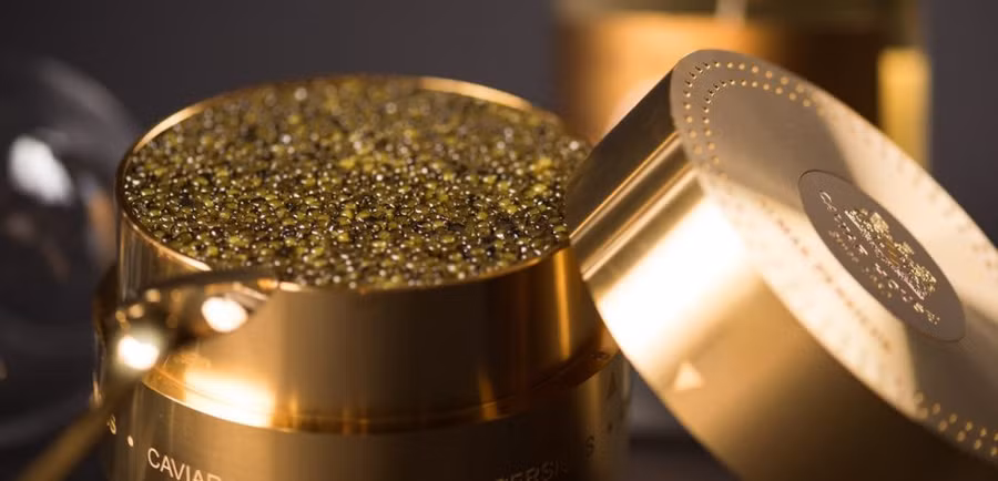 10 mon hai san chi co gioi nha giau moi dam chi tra hinh anh 9 