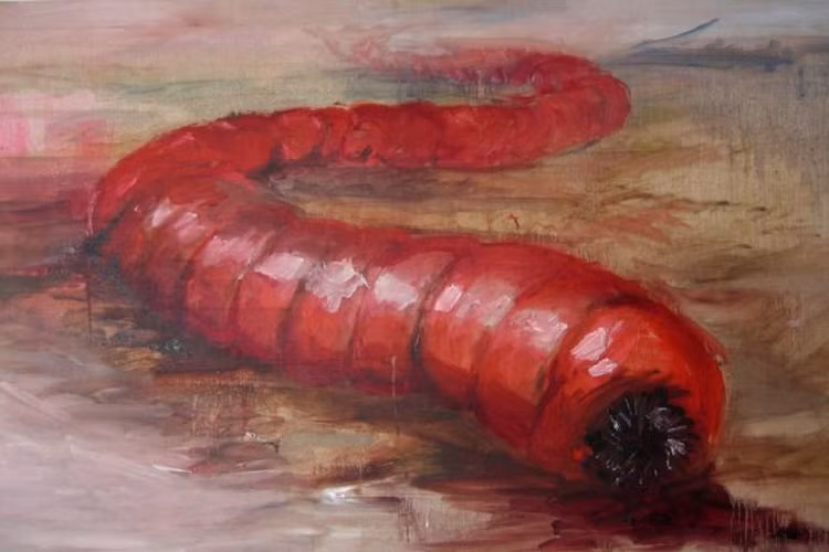 Quái vật Worm.