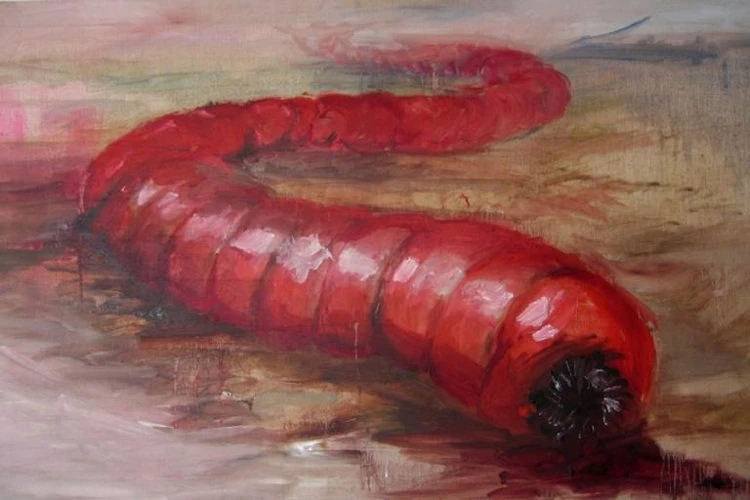 Quái vật Worm.