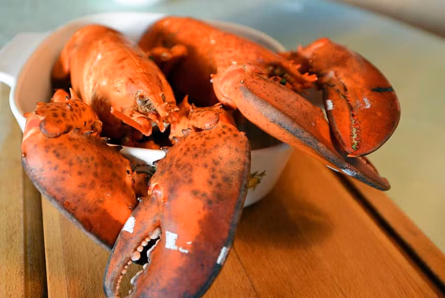 Tôm hùm Fourshuđược ví như chiếc xe Rolls Royce trong thế giới tôm hùm. Loài giáp xác quý hiếm này lần đầu tiên được giới thiệu tại New York với những người yêu ẩm thực. Đặc biệt, mỗi năm thực khách chỉ có 10 tuần để thưởng thức món ăn, đây là lý do nó lu