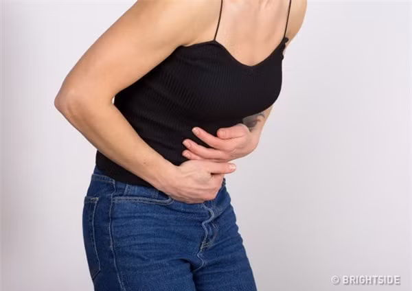 Nghiên cứu của Đại học Texas đã chỉ ra rằng hàm lượng estrogen quá cao có thể dẫn đến rối loạn hệ thống vi sinh vật ở ruột, gây ra các vấn đề về tiêu hóa.