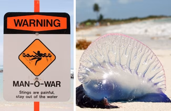 10 điều bạn nhất định phải biết để sống sót an toàn khi đến những nơi xa lạ - Ảnh 1.