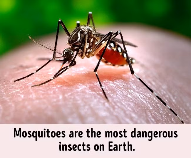 10 điều bạn nhất định phải biết để sống sót an toàn khi đến những nơi xa lạ - Ảnh 3.