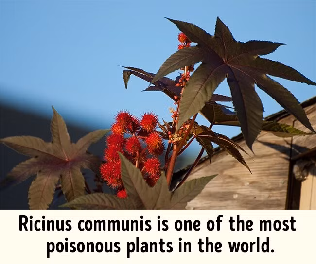 10 điều bạn nhất định phải biết để sống sót an toàn khi đến những nơi xa lạ - Ảnh 6.