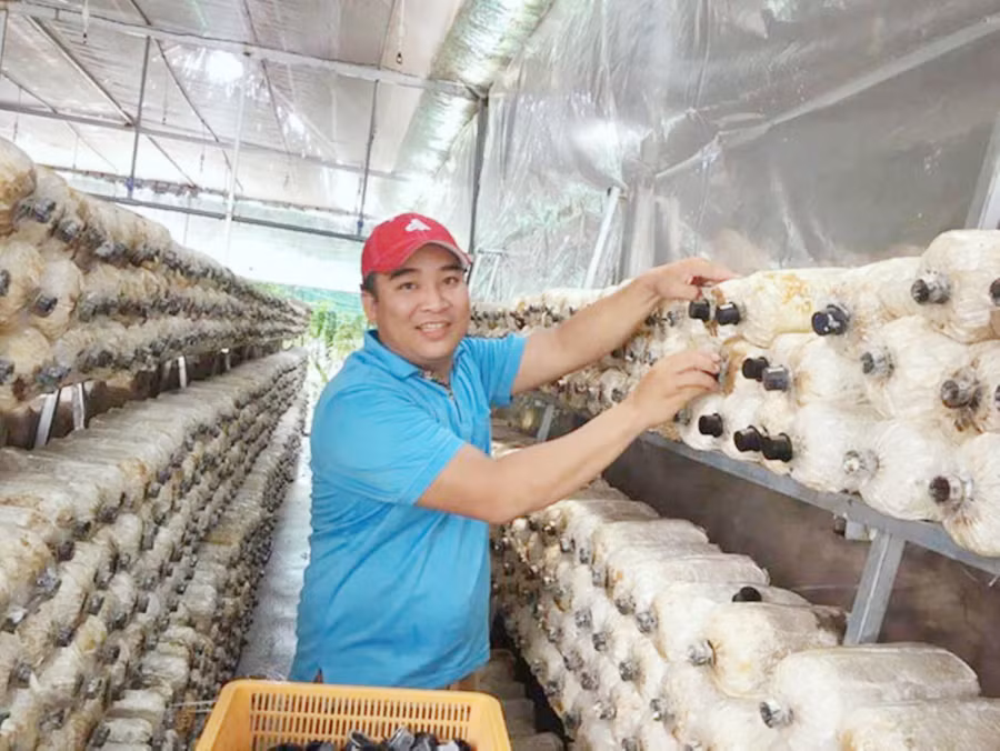 Thanh niên ngoại thành vượt khó làm giàu