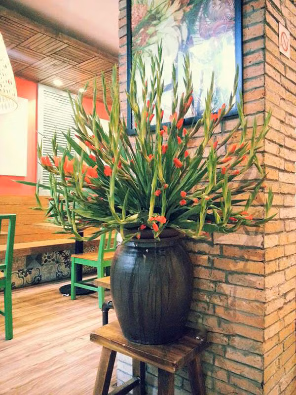 Hoa lay ơn quen thuộc cũng có thể khác biệt nếu biết cách cắm.