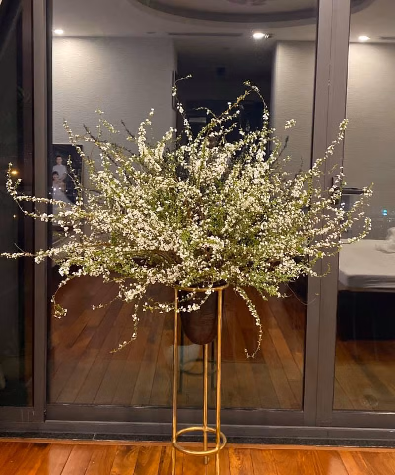 Loại hoa này được bán với giá khoảng 200.000 đồng/bó 5-7 cành. Hoa có thể tươi lâu được cả tuần.