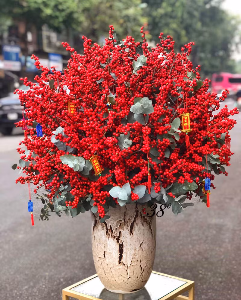 Hoa đào đông đỏ rực cũng được nhiều người yêu thích. Gọi là đào nhưng thực chất là những chùm quả đỏ mọng có thể bày trong nhà từ 12 -15 ngày vẫn giữ được màu đỏ đẹp.