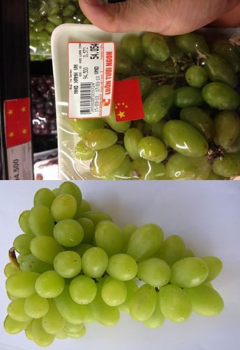 Cách phân biệt nho xanh Trung Quốc với nho xanh Ninh Thuận ảnh 6 Cách phân biệt nho xanh Trung Quốc với nho xanh Ninh Thuận ảnh 6