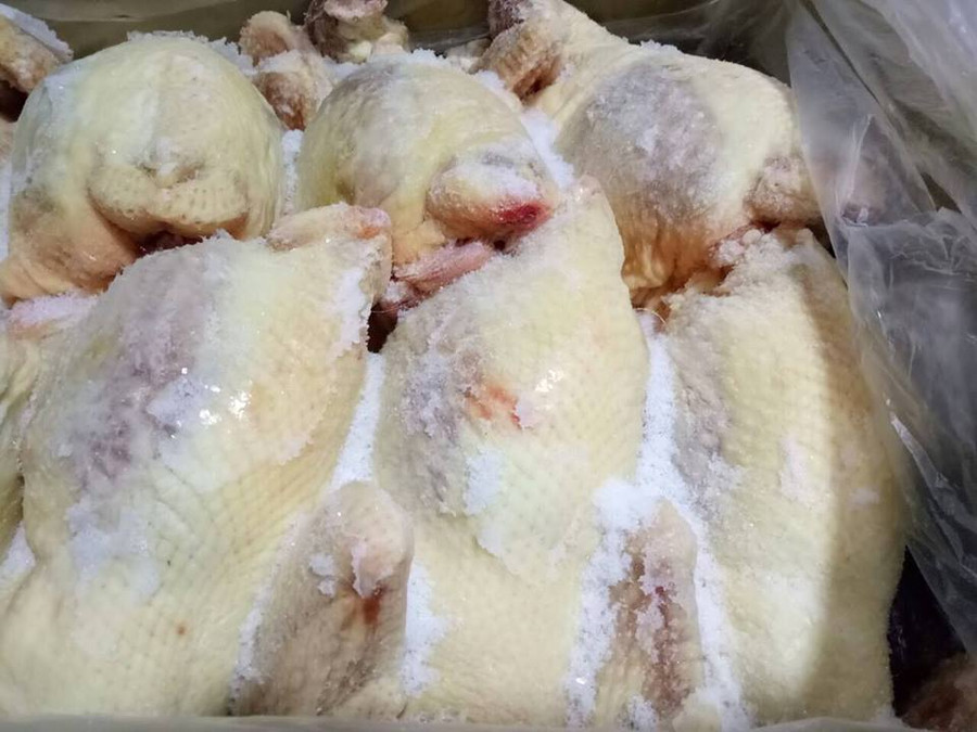 Sức khỏe - Chuyên gia lên tiếng về chất lượng gà dai Hàn Quốc sau những quảng cáo