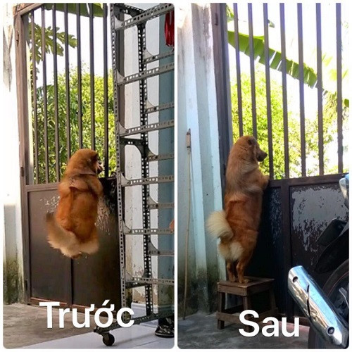 Hóng chuyện có đầu tư.