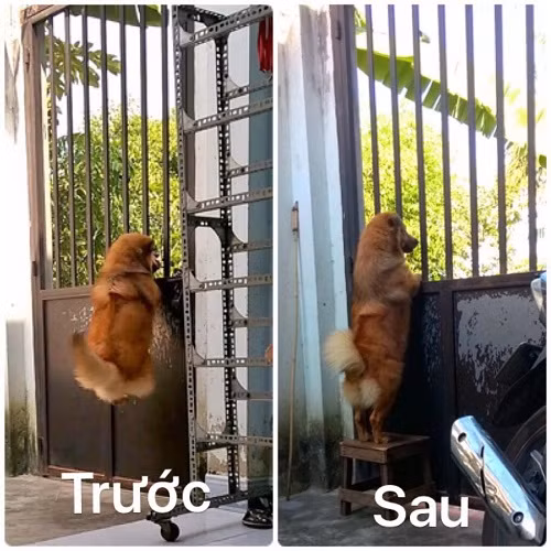 Hóng chuyện có đầu tư. Hóng chuyện có đầu tư.