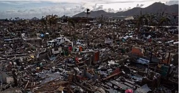 dứa, siêu bão, dứa khổng lồ