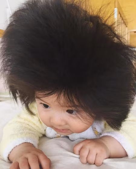 Nhật Bản: Bé 7 tháng tuổi có mái tóc bồng bềnh như mây thu hút vạn người xem ảnh 2