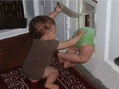 Bắt quả tang pha vượt ngục của bé cưng.