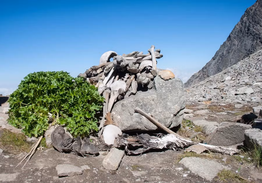 Bi an ho xuong nguoi khong lo tren dinh Himalaya hinh anh 3 