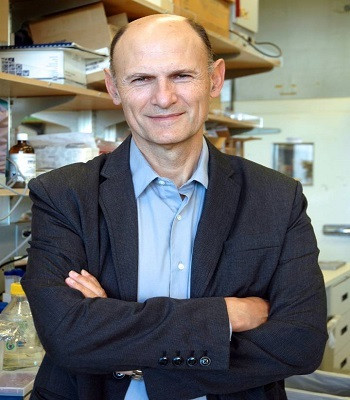 Phôi thai loài lai người - khỉ được tạo ra ở Trung Quốc ảnh 1 Nhà nghiên cứu Juan Carlos Izpisúa. Ảnh: El Pais.