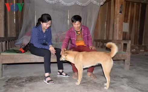 nhiều hộ dân ở bản co sáy (sơn la) chủ quan khi bị chó dại cắn hình 1 nhieu ho dan o ban co say (son la) chu quan khi bi cho dai can hinh 1