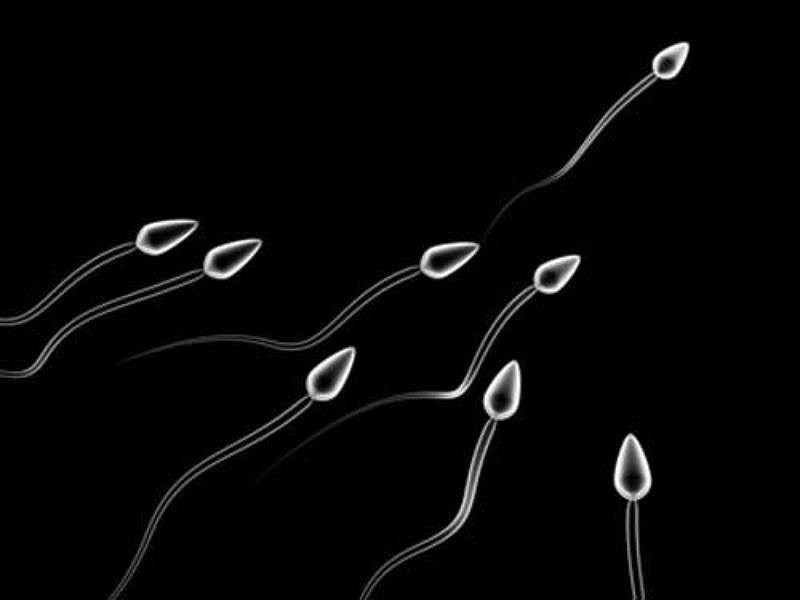 ong bo co 9 nguoi con moi phat hien minh... vo sinh hinh anh 1