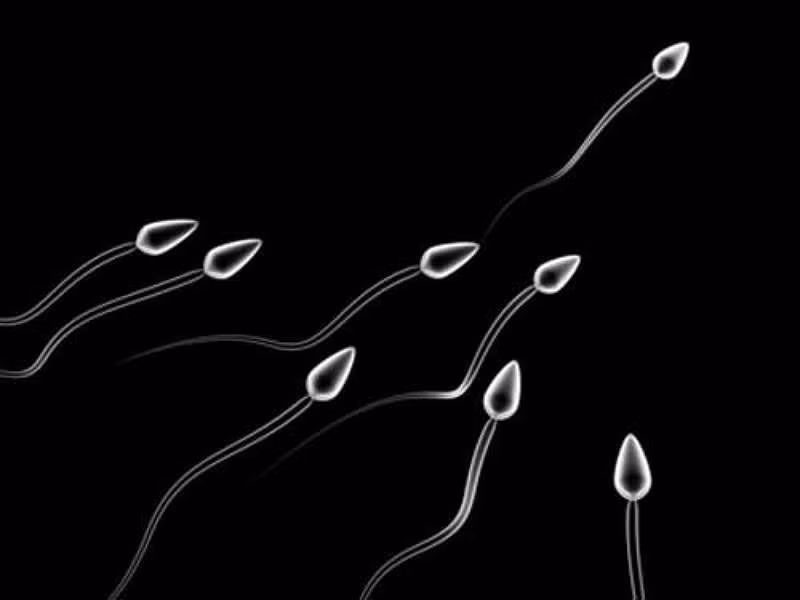 ong bo co 9 nguoi con moi phat hien minh... vo sinh hinh anh 1