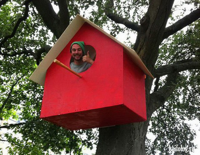 xem de biet tai sao chi em lai &quot;xa lanh&quot; anh em hinh anh 14