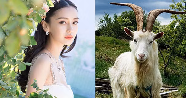 5 con giáp khởi đầu cực suôn sẻ, có cơ hội đổi đời ngày mùng 1 tháng 2 âm lịch ảnh 1