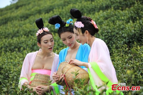 Mỹ nữ Trung Quốc diện y phục cung đình lên núi hái chè ảnh 2 Mỹ nữ Trung Quốc diện y phục cung đình lên núi hái chè - ảnh 2