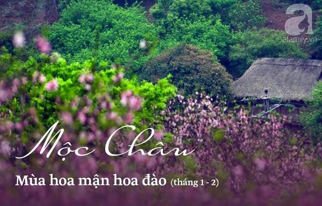 Đánh dấu địa điểm du lịch hấp dẫn theo mùa cho bạn trẻ