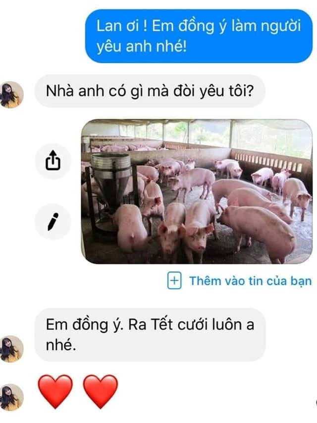 Không chỉ dừng lại ở quần áo, cách "thả thính" của những cặp đôi thời bão giá thịt lợn cũng sáng tạo không kém Không chỉ dừng lại ở quần áo, cách "thả thính" của những cặp đôi thời bão giá thịt lợn cũng sáng tạo không kém