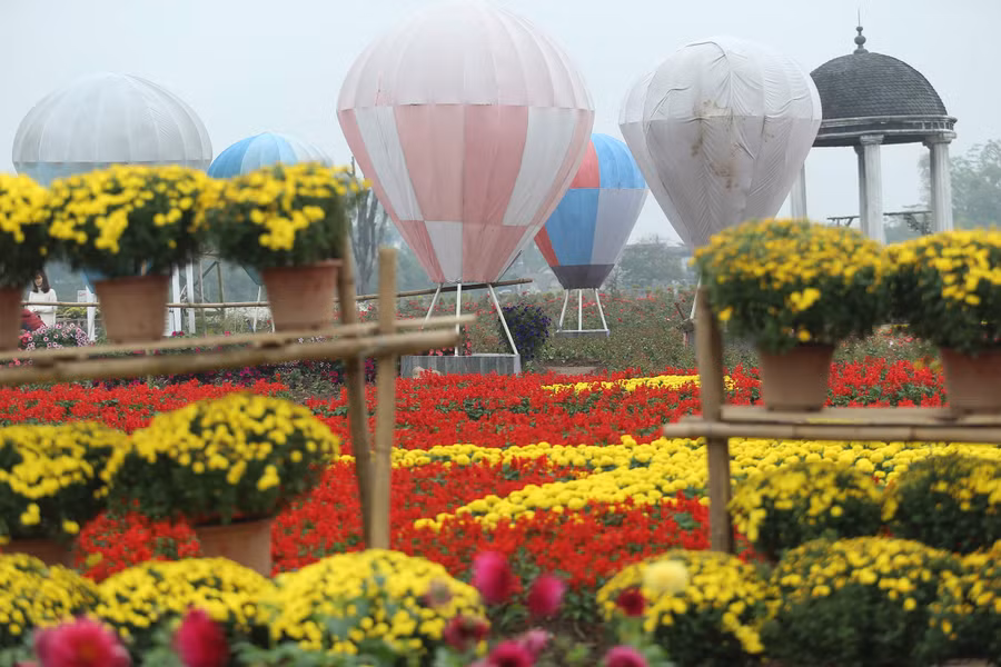 Vườn hoa của anh Hùng giờ đây như biến thành một biển màu sắc rực rỡ. Hàng chục nghìn cây hoa cùng nhau khoe sắc biến nơi đây thành một địa điểm thu hút không ít người tham quan.