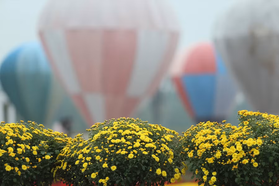 Những bông cúc mâm xôi mang đậm hương vị ngày Tết cũng được khéo léo xếp tạo nên những khung cảnh đẹp.