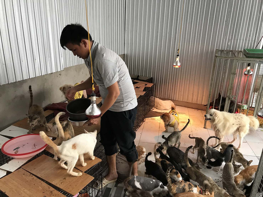 Anh Nguyên chuẩn bị các phần ăn cho chó, mèo Anh Nguyên chuẩn bị các phần ăn cho chó, mèo