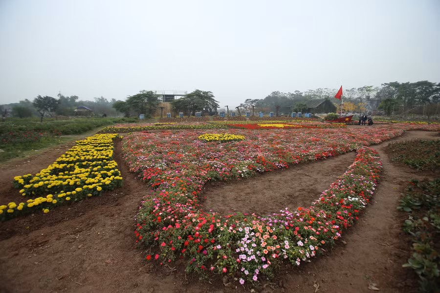 Chiếc Cup hoa độc đáo ngay giữa lòng Thủ Đô có chiều dài khoảng 50 m.