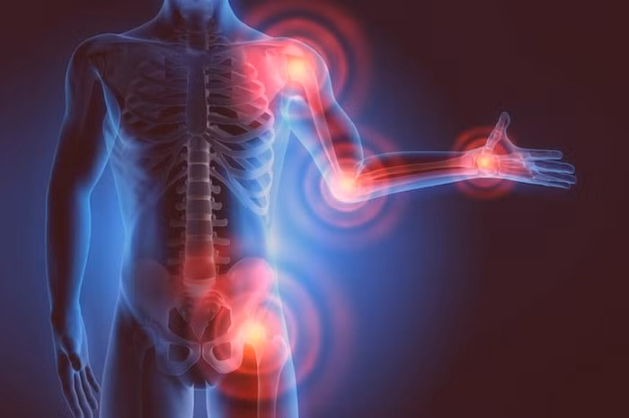 Không thể ngờ lá húng quế lại mang lại cho bạn những lợi ích không ngờ đến vậy