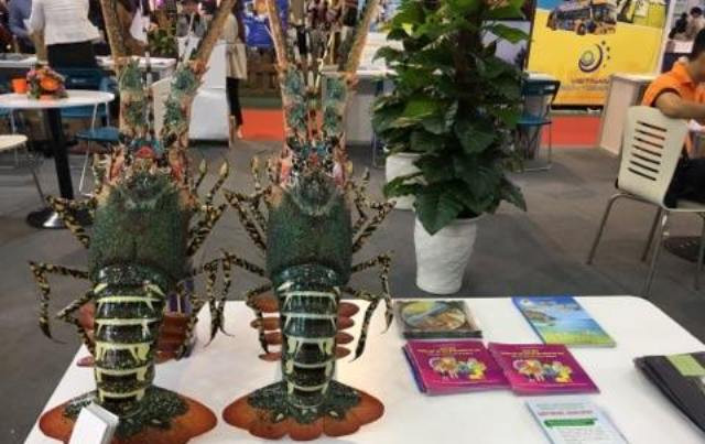 Các Công ty Du lịch có vô vàn cách trang trí khác nhau để thu hút khách Các Công ty Du lịch có vô vàn cách trang trí khác nhau để thu hút khách