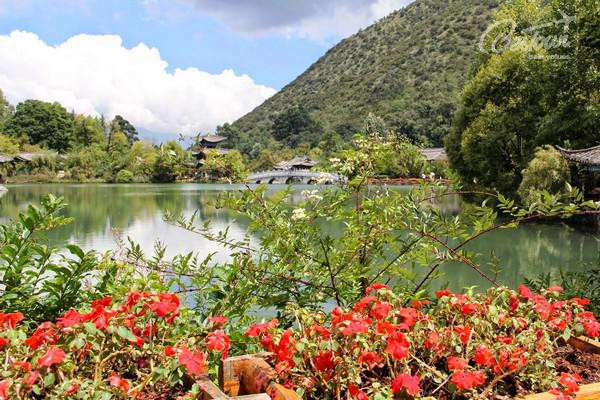 Lạc bước vào Lệ Giang cổ trấn: Tiên cảnh cõi hồng trần ảnh 7 lac buoc vao le giang co tran – tien canh coi hong tran - 8