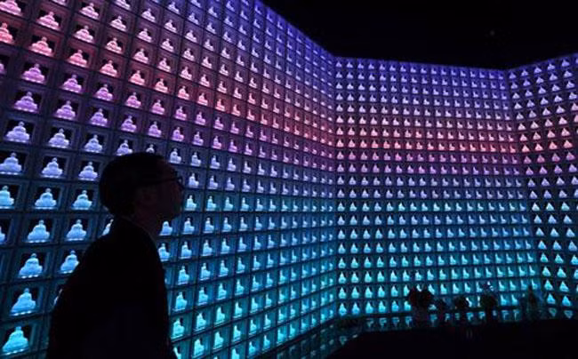 chi co toi nhat ban du khach moi duoc chiem nguong nhung thu doc dao nay - 13