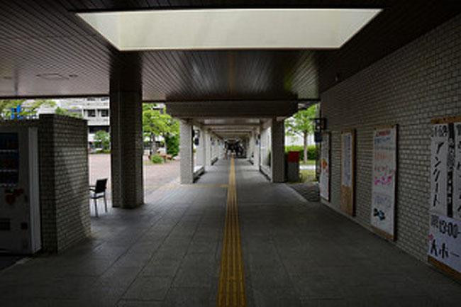 Chỉ đến Nhật Bản, du khách mới được chiêm ngưỡng những thứ độc đáo này ảnh 5 chi co toi nhat ban du khach moi duoc chiem nguong nhung thu doc dao nay - 5