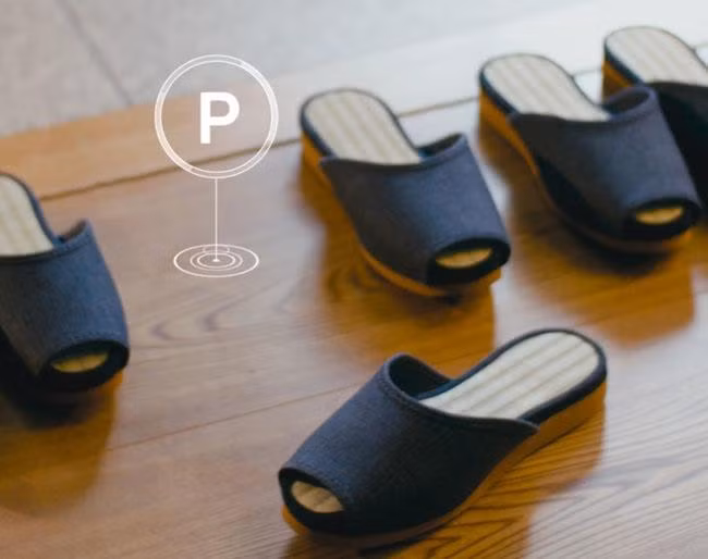 chi co toi nhat ban du khach moi duoc chiem nguong nhung thu doc dao nay - 1