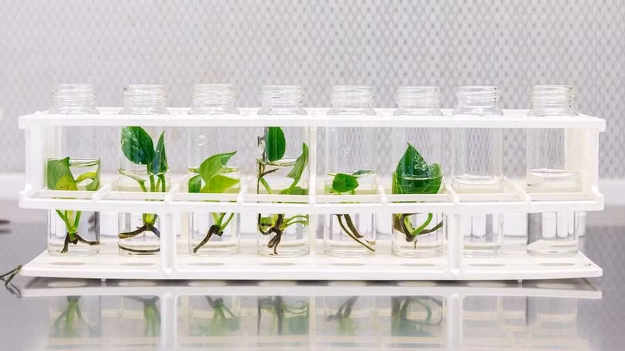 Cuộc sống muôn mầu