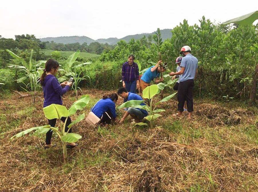 Giáo viên nhà trường hỗ trợ ngày công giúp gia đình ông Hà Văn Quang