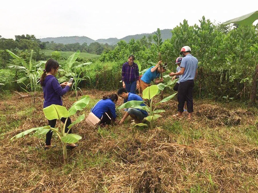 Giáo viên nhà trường hỗ trợ ngày công giúp gia đình ông Hà Văn Quang