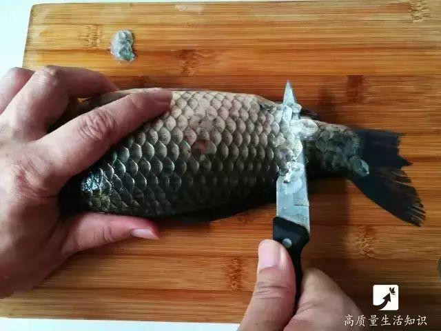 4 meo danh vay ca vua sach lai an toan chang lo bi dut tay - 8