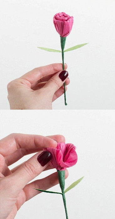 Khéo tay làm hoa cẩm chướng bằng giấy nhún siêu xinh kheo tay lam hoa cam chuong bang giay nhun sieu xinh 6