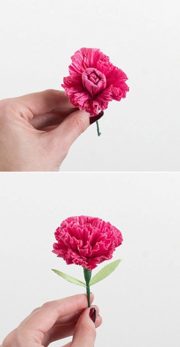 Khéo tay làm hoa cẩm chướng bằng giấy nhún siêu xinh kheo tay lam hoa cam chuong bang giay nhun sieu xinh 5