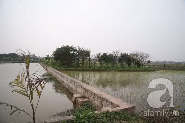 Bé gái khoảng 9 tháng tuổi, bụ bẫm bị bỏ rơi ở chùa