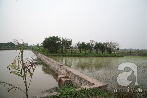 Bé gái khoảng 9 tháng tuổi, bụ bẫm bị bỏ rơi ở chùa Bé gái khoảng 9 tháng tuổi, bụ bẫm bị bỏ rơi ở chùa