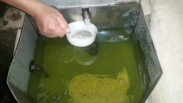 Sản phẩm tinh dầu hồi thô