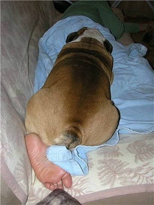 Chân ải chân ai? Chân ải chân ai?