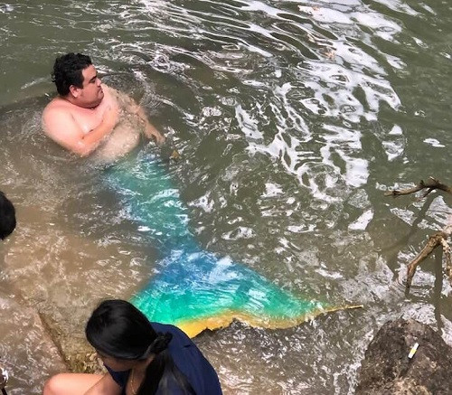 Chàng tiên cá mập. Chàng tiên cá mập.